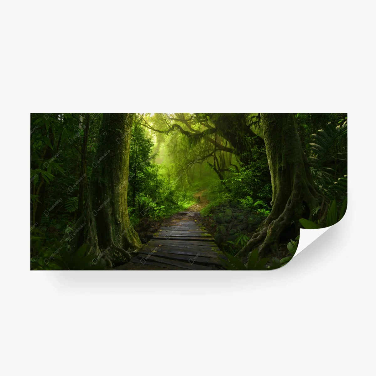 Fotomural sendero místico en la selva esmeralda – Pixers®