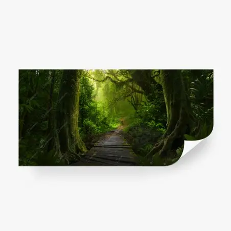 Fotomural sendero místico en la selva esmeralda – Pixers®