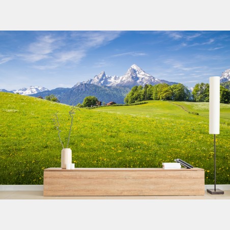 Fotomural panorama alpino de pradera primaveral – Pixers®