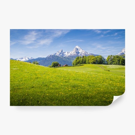 Fotomural panorama alpino de pradera primaveral – Pixers®