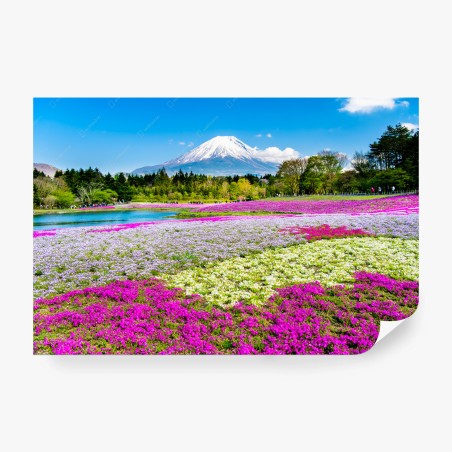 Fotomural panorama primaveral con Monte Fuji y campos de flores – Pixers®