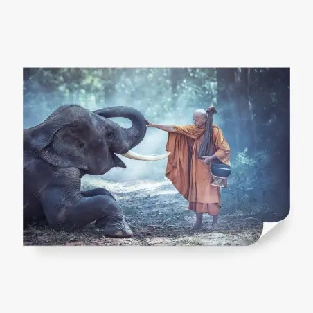 Fotomural encuentro sagrado en Tailandia – Pixers®