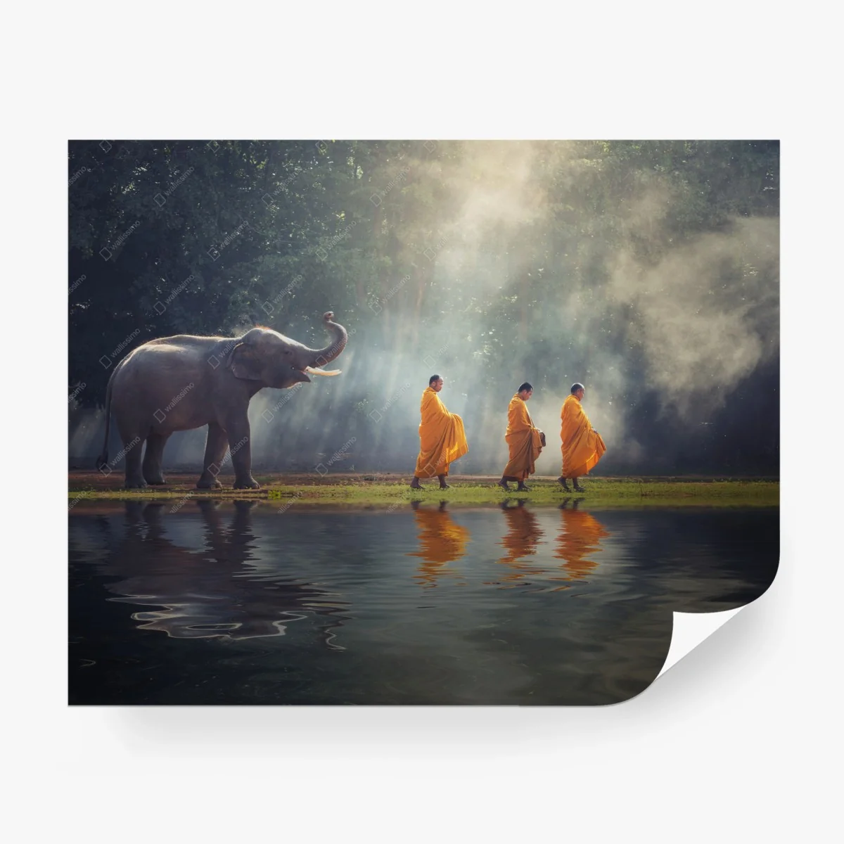 Fotomural monjes y elefante en Tailandia al amanecer – Pixers® Fotomural monjes y elefante en Tailandia al amanecer – Pixers®