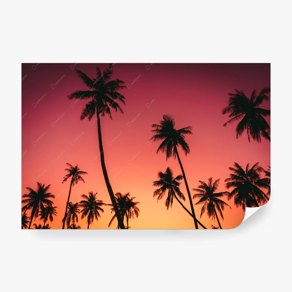 Fotomural atardecer tropical entre palmeras – Pixers® Fotomural atardecer tropical entre palmeras – Pixers®