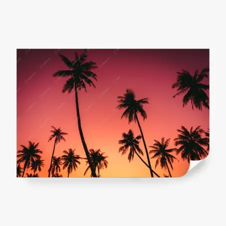 Fotomural atardecer tropical entre palmeras – Pixers®