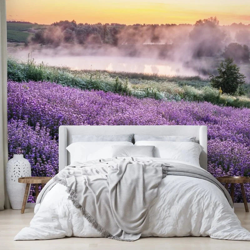 Fotomural campo de lavanda al amanecer