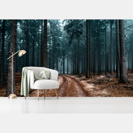 Fotomural sendero místico entre pinos y niebla – Pixers®
