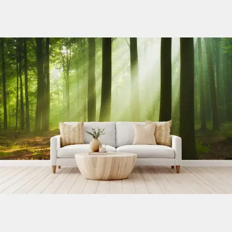 Fotomural amanecer en el bosque iluminado – Pixers®