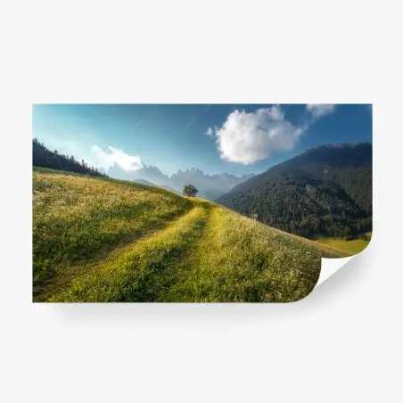 Fotomural pradera alpina en las Dolomitas – Pixers®