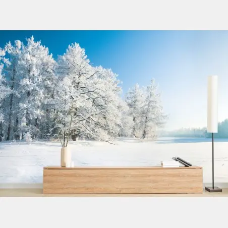 Fotomural paisaje invernal sereno con árboles nevados – Pixers®