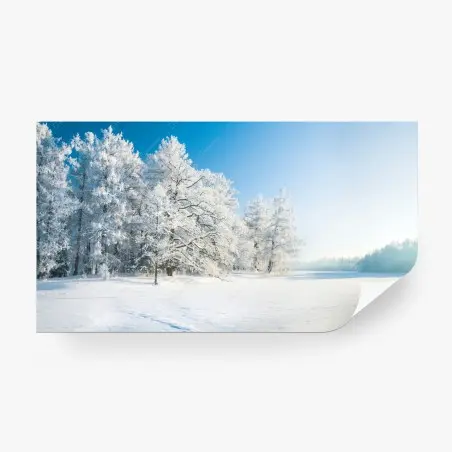 Fotomural paisaje invernal sereno con árboles nevados – Pixers®