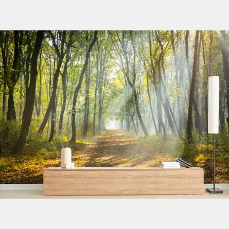 Fotomural sendero iluminado en el bosque otoñal – Pixers®