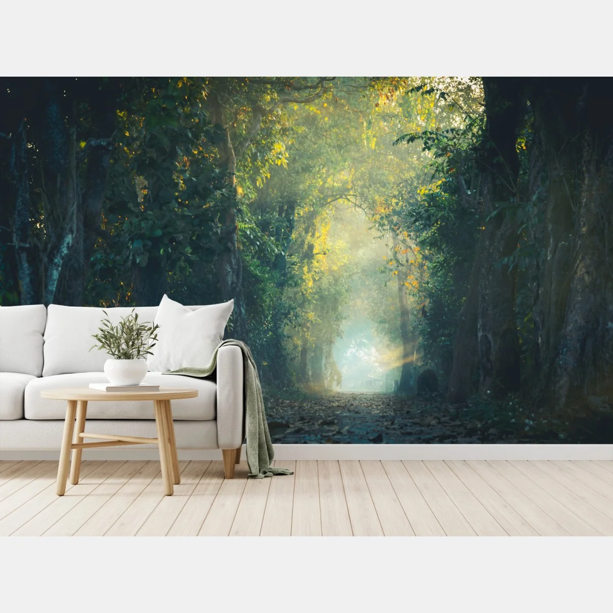 Fotomural sendero de luz en el bosque mágico – Pixers® Fotomural sendero de luz en el bosque mágico – Pixers®