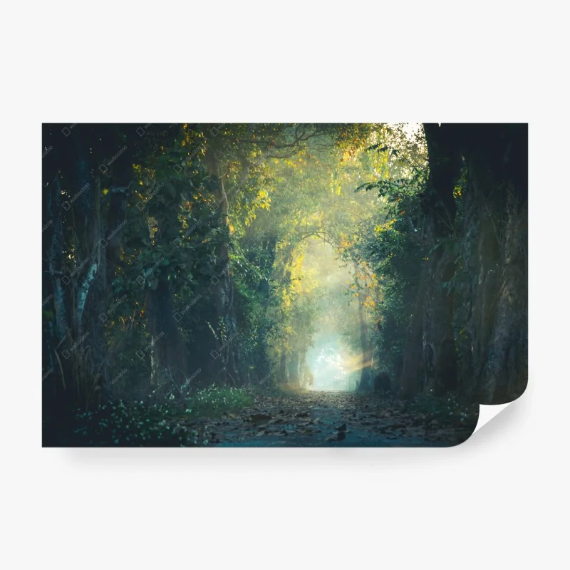 Fotomural sendero de luz en el bosque mágico