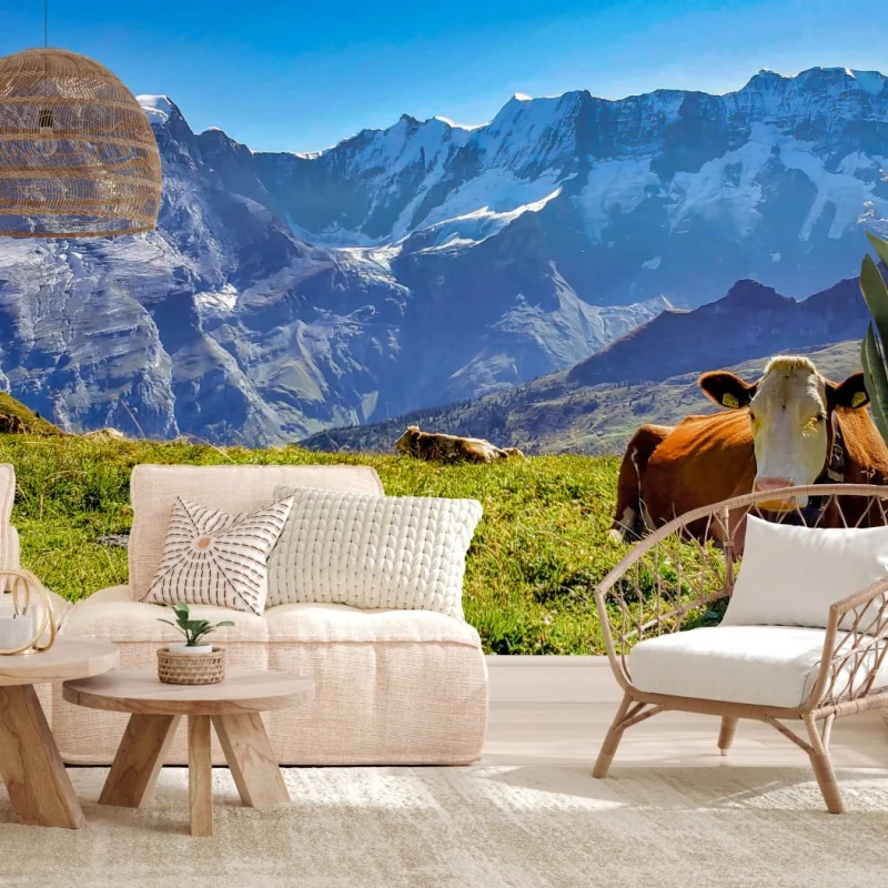 Fotomural vaca descansando en pradera alpina frente a montañas nevadas