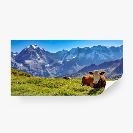 Fotomural vaca descansando en pradera alpina frente a montañas nevadas – Pixers®