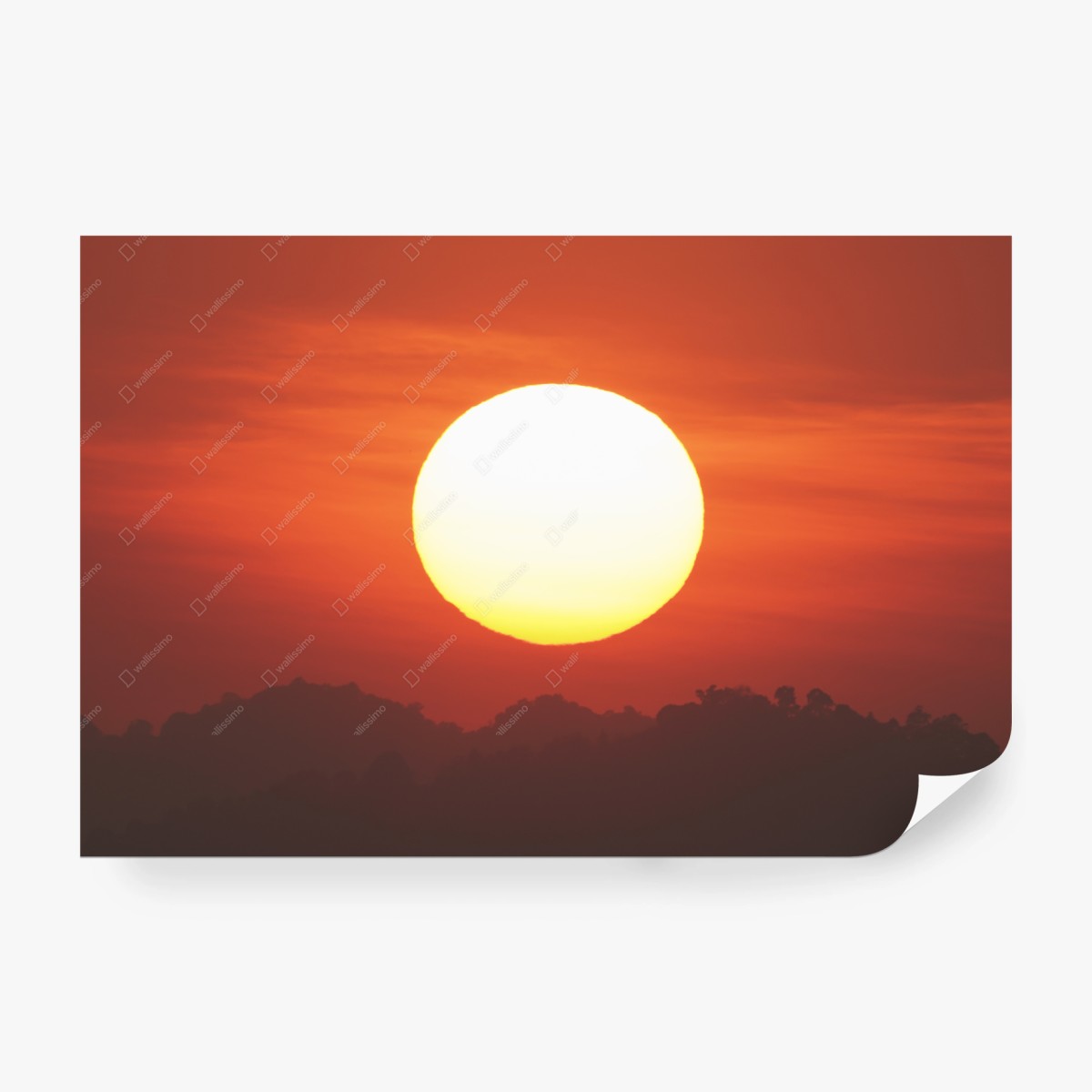 Fotomural amanecer ardiente sobre el horizonte – Pixers®