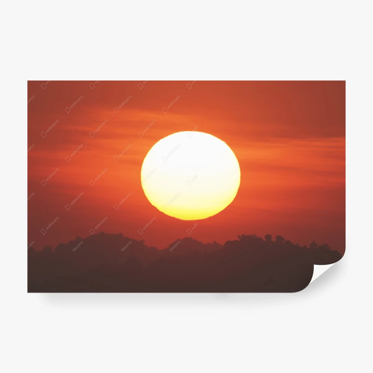 Fotomural amanecer ardiente sobre el horizonte – Pixers® Fotomural amanecer ardiente sobre el horizonte – Pixers®