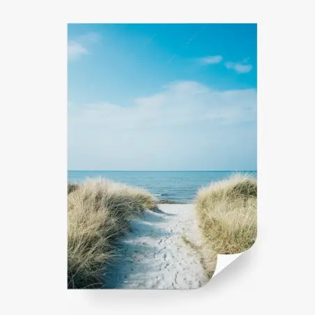 Fotomural camino entre dunas hacia el mar – Pixers®