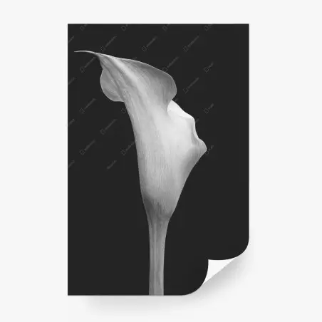 Fotomural cala minimalista en blanco y negro – Pixers®