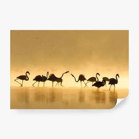 Fotomural familia de flamencos al amanecer – Pixers®