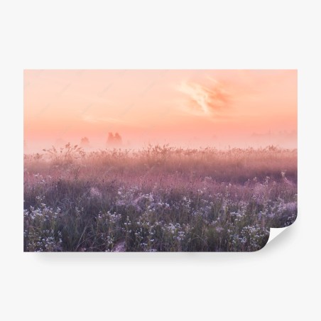Fotomural amanecer rosado en la pradera con niebla – Pixers®