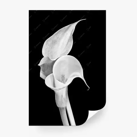 Fotomural elegancia de calas en blanco y negro – Pixers®
