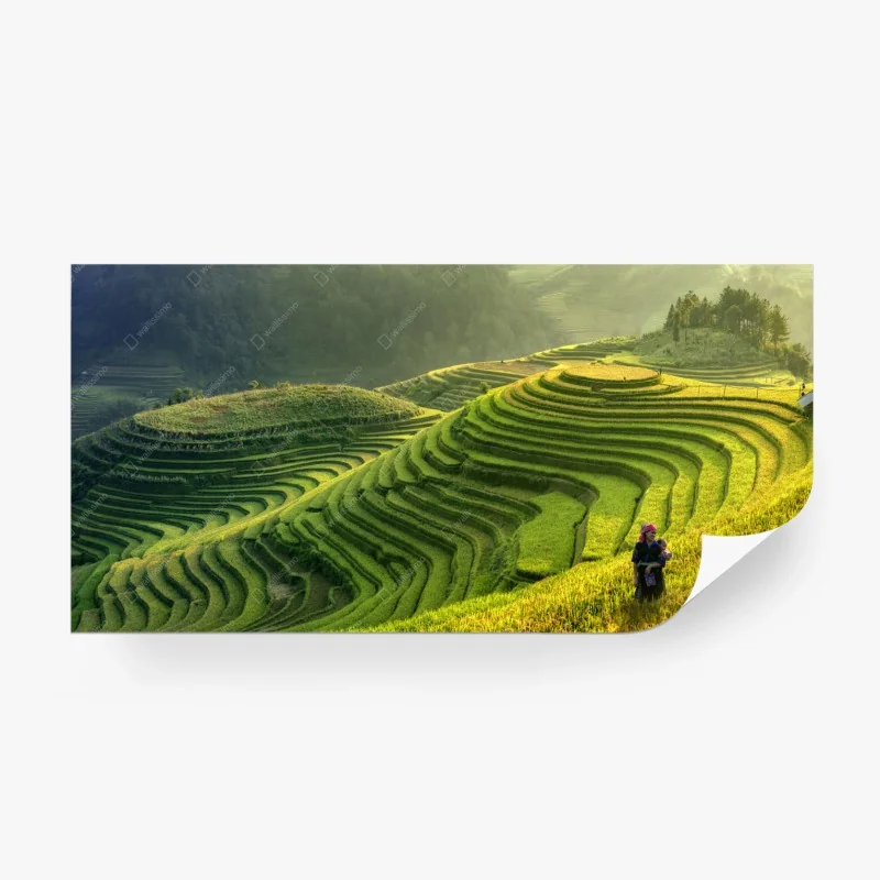 Fotomural paisaje de terrazas de arroz en Mu Cang Chai