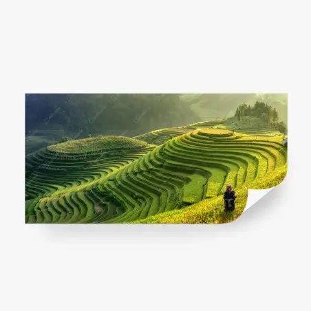 Fotomural paisaje de terrazas de arroz en Mu Cang Chai – Pixers®