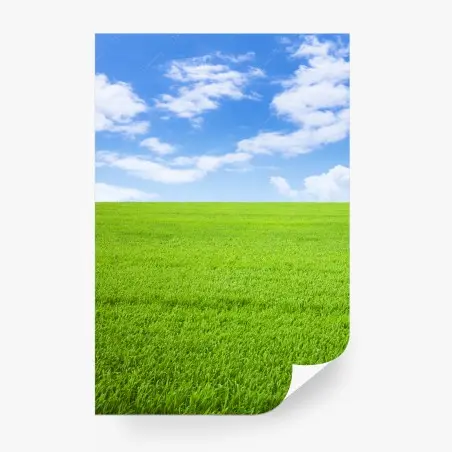 Fotomural pradera verde bajo cielo azul – Pixers®