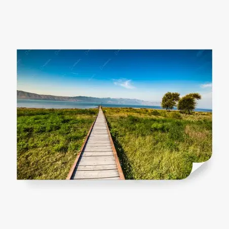 Fotomural paseo sereno hacia el lago Skadar – Pixers®