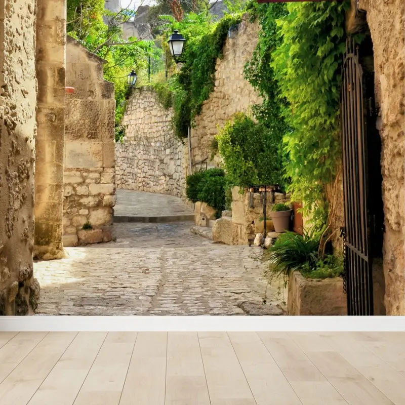 Fotomural calle empedrada rústica en Les Baux de Provence