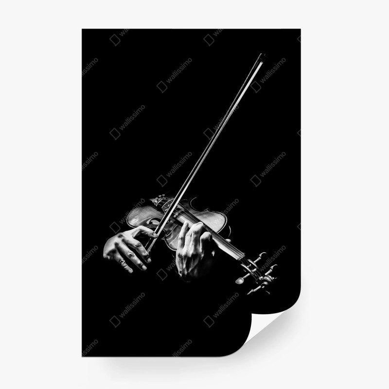 Fotomural intensidad del violín en blanco y negro – Pixers® Fotomural intensidad del violín en blanco y negro – Pixers®