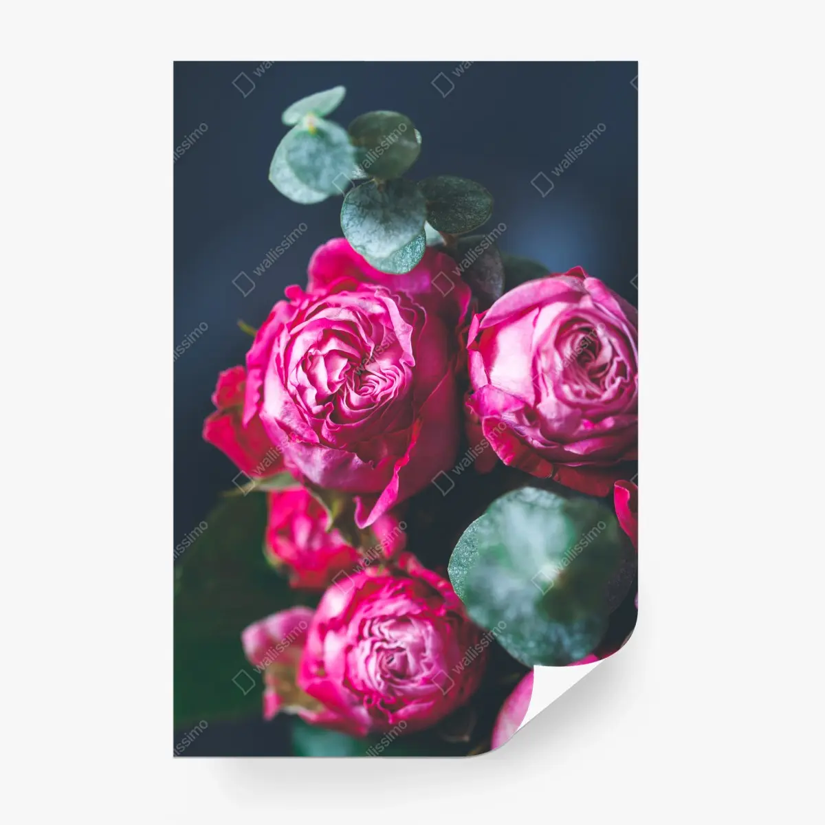 Fotomural ramo de rosas rosa intenso sobre fondo azul – Pixers®