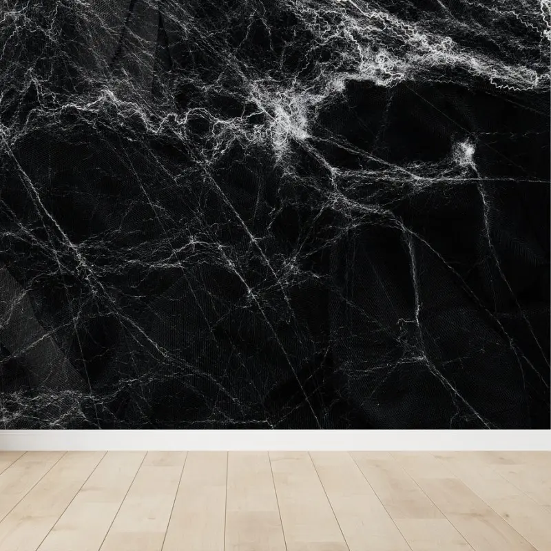 Fotomural telaraña fantasmal sobre fondo negro