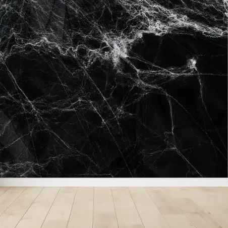Fotomural telaraña fantasmal sobre fondo negro