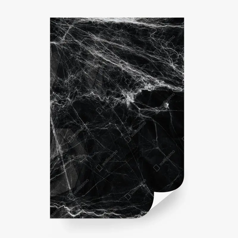 Fotomural telaraña fantasmal sobre fondo negro