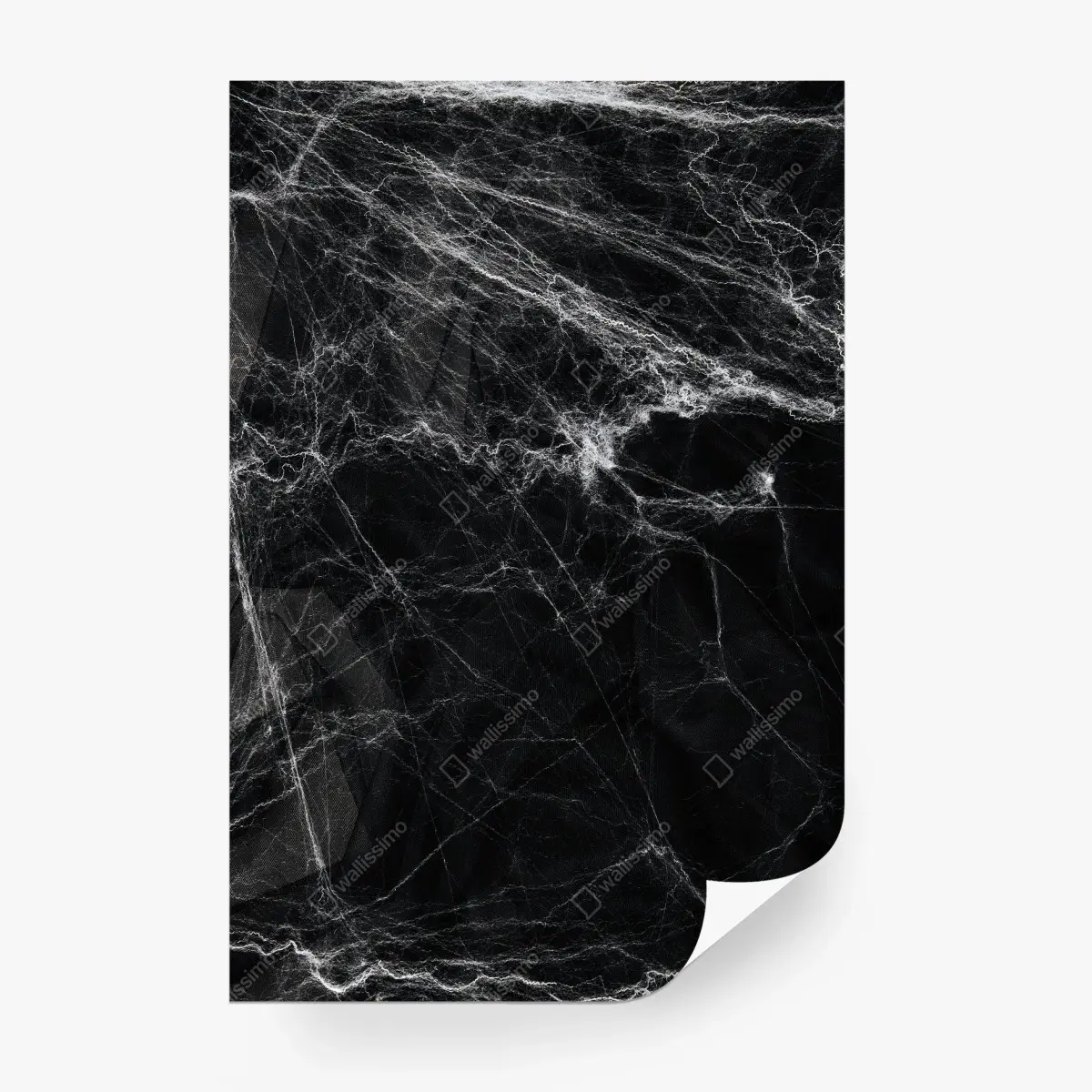 Fotomural telaraña fantasmal sobre fondo negro – Pixers®