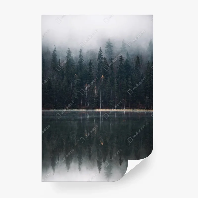 Fotomural bosque brumoso reflejado en lago – Pixers®