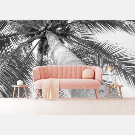 Fotomural vértigo de palmera tropical en blanco y negro – Pixers®