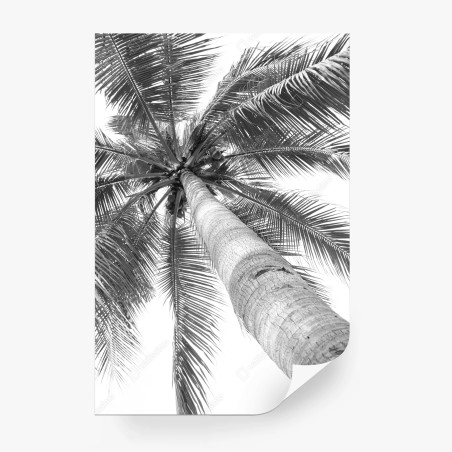 Fotomural vértigo de palmera tropical en blanco y negro – Pixers®