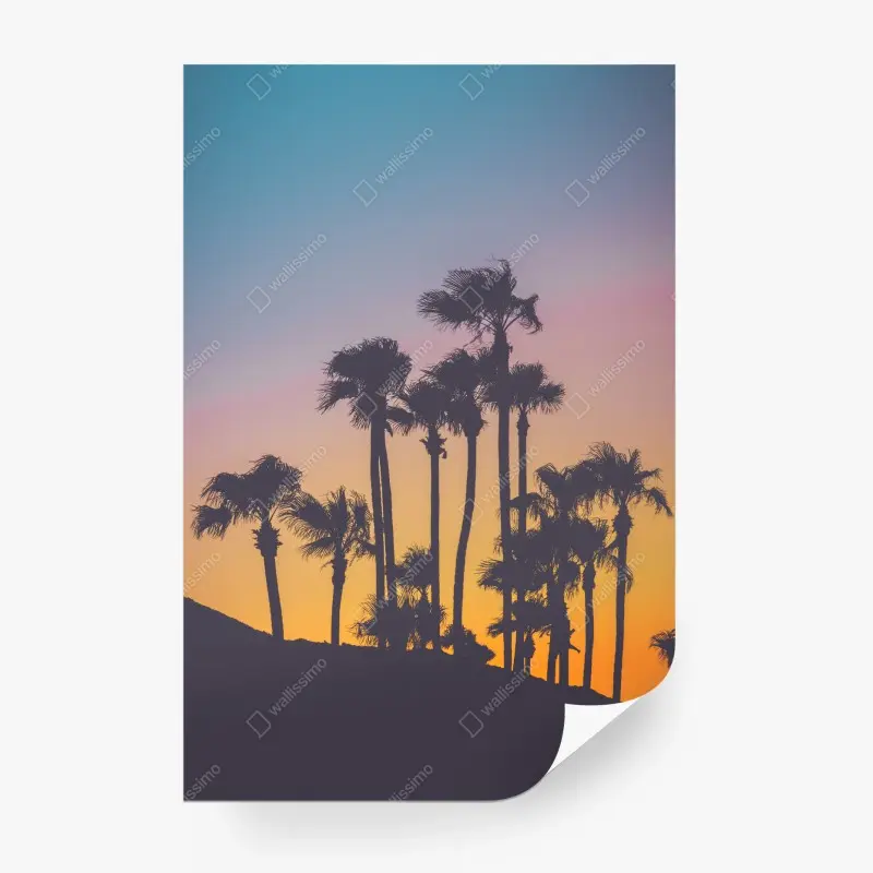 Fotomural palmeras en silueta sobre cielo degradado al atardecer