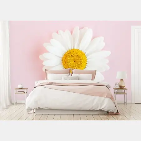 Fotomural margarita sobre fondo rosa minimalista – Pixers®