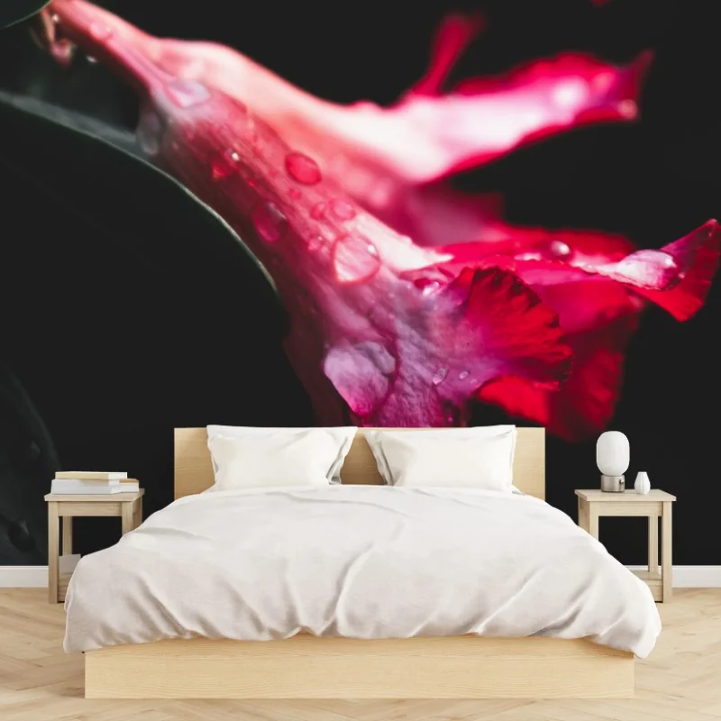 Fotomural flores rosas en contraste oscuro y gotas de agua