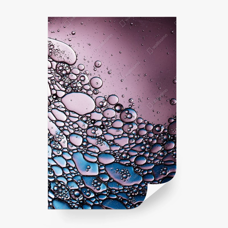 Fotomural composición de burbujas en tonos rosa y azul – Pixers®