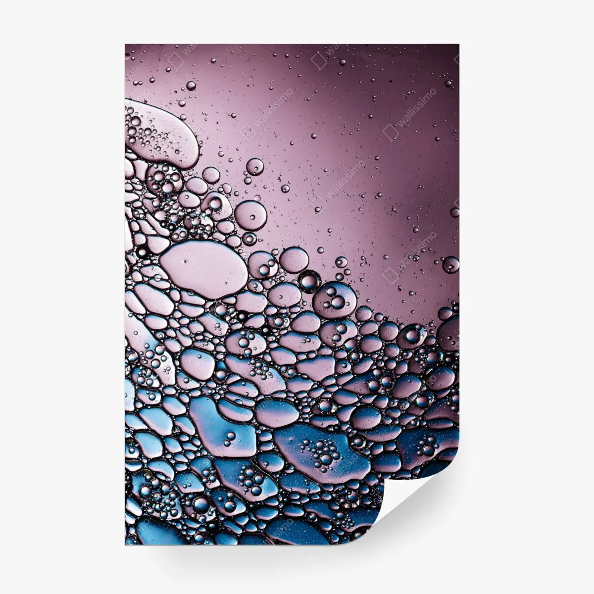 Fotomural composición de burbujas en tonos rosa y azul – Pixers®