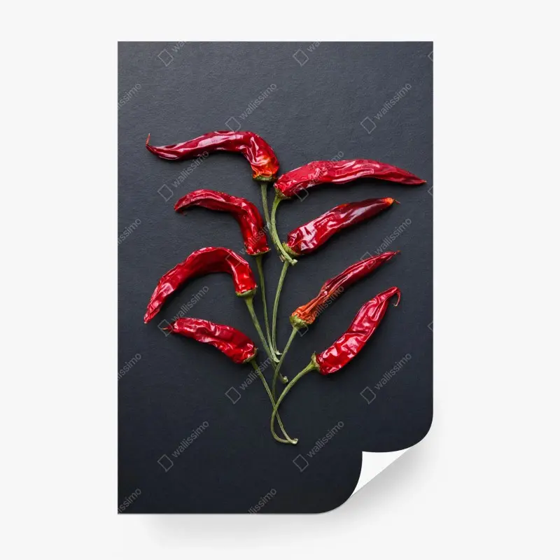 Fotomural árbol de chiles rojos sobre fondo negro