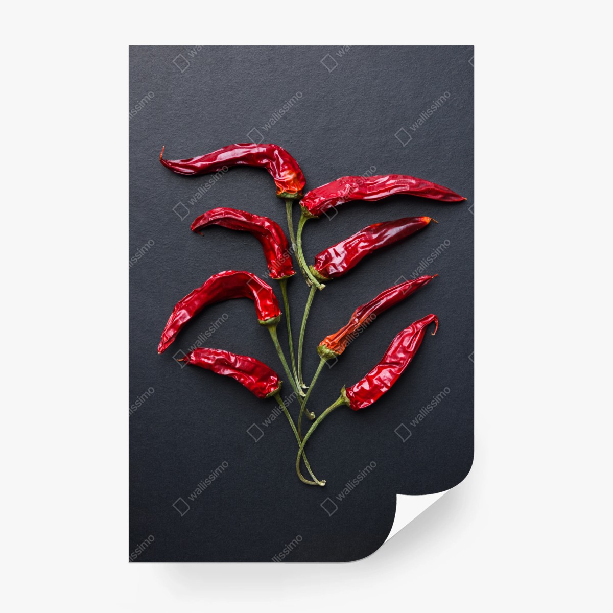 Fotomural árbol de chiles rojos sobre fondo negro – Pixers®