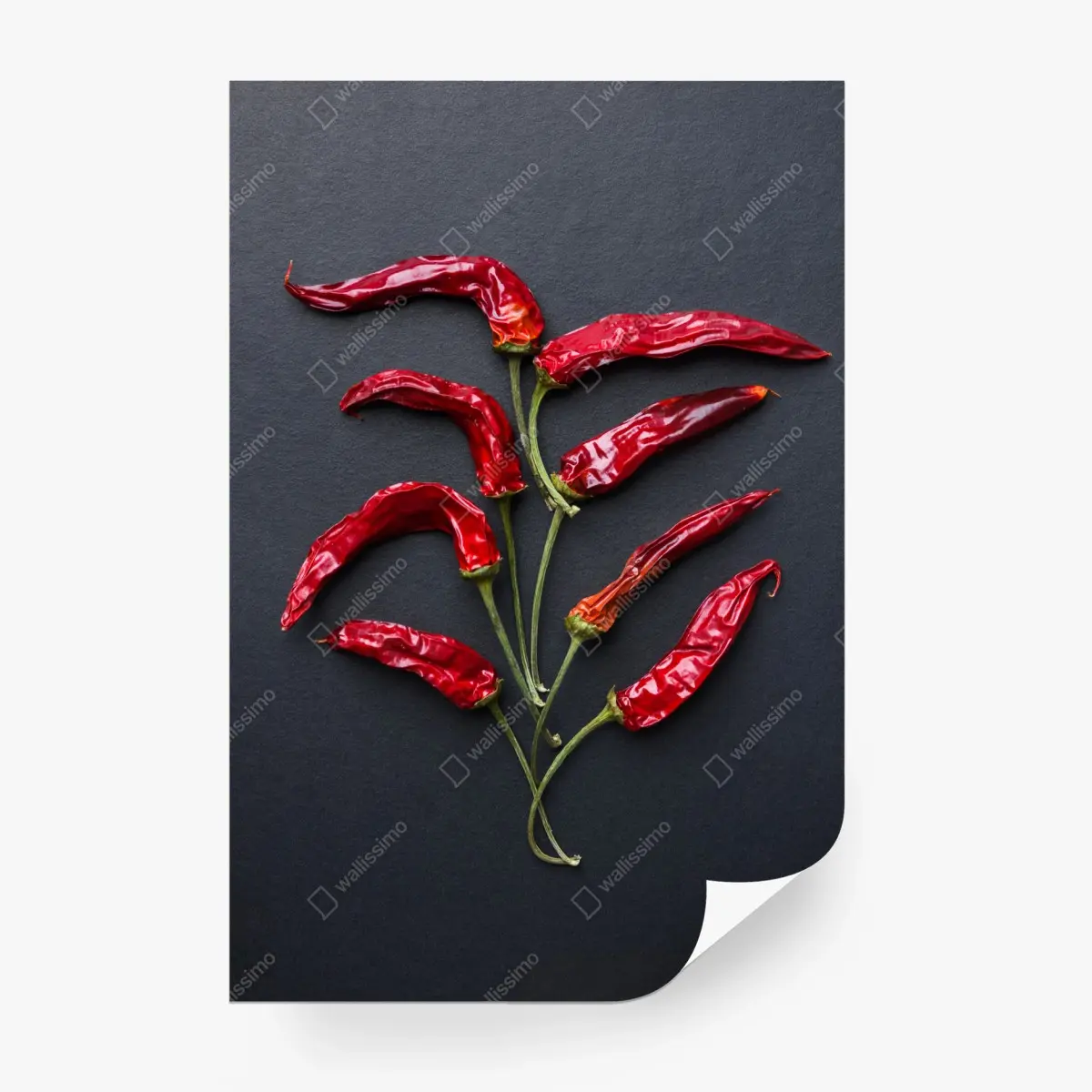 Fotomural árbol de chiles rojos sobre fondo negro – Pixers®