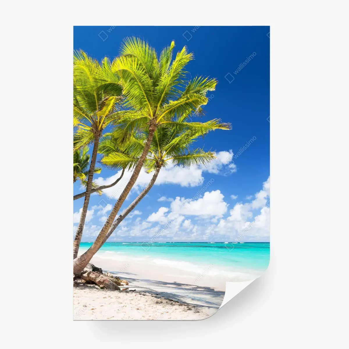 Fotomural palmeras tropicales en la playa de Punta Cana – Pixers®